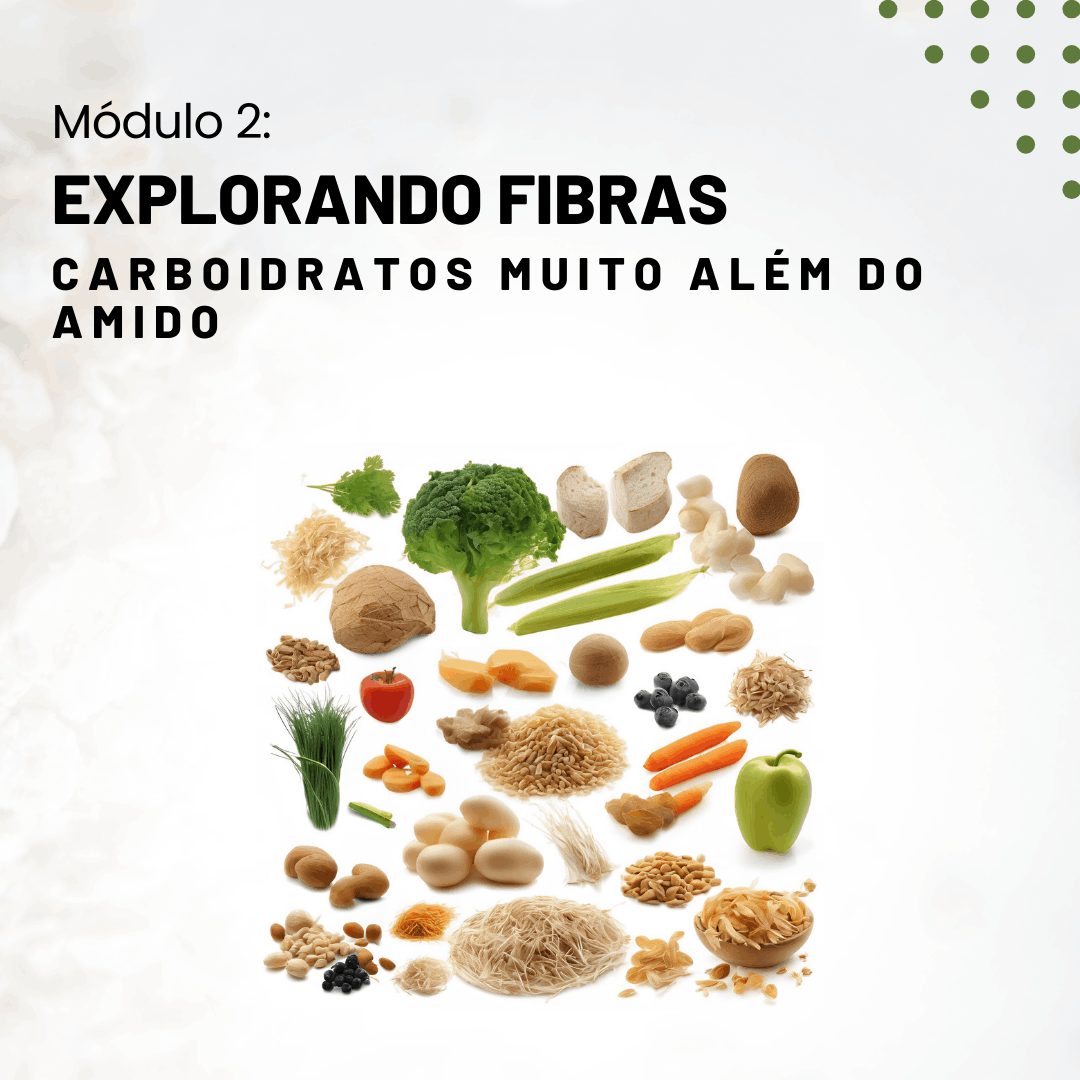 Explorando Fibras - Curso Kelvin Taporosky